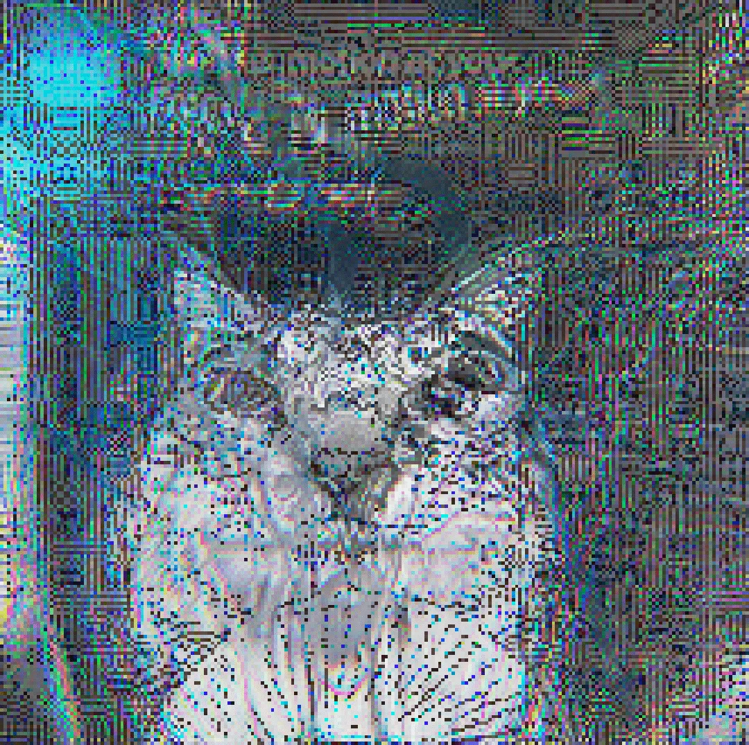 A very pixelated memetic abstract artwork. On a noisy sharp blueish background, a light gray floppa bingus is staring at you. Everything has a sort of RGB glow.